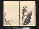 Seitei’s Birds and Flowers Painting Manual, Watanabe Seitei (Japanese, 1851–1918), Woodblock printed book (Japanese-style binding); ink and color on paper, Japan