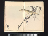 Seitei’s Birds and Flowers Painting Manual, Watanabe Seitei (Japanese, 1851–1918), Woodblock printed book (Japanese-style binding); ink and color on paper, Japan