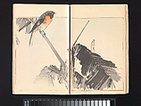 Seitei’s Picture Album of Birds and Flowers (Seitei Kachō gafu), Watanabe Seitei  Japanese, Woodblock printed book (Japanese-style binding); ink and color on paper, Japan