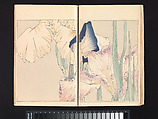 Seitei’s Birds and Flowers Painting Manual, Watanabe Seitei (Japanese, 1851–1918), Woodblock printed book (Japanese-style binding); ink and color on paper, Japan