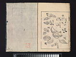 A Beginner’s Pictorial Encyclopedia of Natural History, Tachibana Morikuni (Japanese, 1679–1748), Three volumes of woodblock printed books (Japanese-style binding); ink on paper , Japan