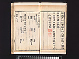 “Bamboo” section, from the Mustard Seed Garden Manual of Painting, Wang Gai (Chinese, 1645–1710), Woodblock-printed book; ink and color on paper, China