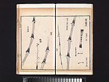 “Bamboo” section, from the Mustard Seed Garden Manual of Painting, Wang Gai (Chinese, 1645–1710), Woodblock-printed book; ink and color on paper, China