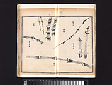 “Bamboo” section, from the Mustard Seed Garden Manual of Painting, Wang Gai (Chinese, 1645–1710), Woodblock-printed book; ink and color on paper, China