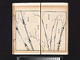 “Bamboo” section, from the Mustard Seed Garden Manual of Painting, Wang Gai (Chinese, 1645–1710), Woodblock-printed book; ink and color on paper, China