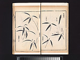 “Bamboo” section, from the Mustard Seed Garden Manual of Painting, Wang Gai (Chinese, 1645–1710), Woodblock-printed book; ink and color on paper, China