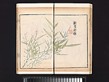 “Bamboo” section, from the Mustard Seed Garden Manual of Painting, Wang Gai (Chinese, 1645–1710), Woodblock-printed book; ink and color on paper, China
