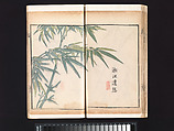 “Bamboo” section, from the Mustard Seed Garden Manual of Painting, Wang Gai (Chinese, 1645–1710), Woodblock-printed book; ink and color on paper, China