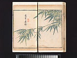 “Bamboo” section, from the Mustard Seed Garden Manual of Painting, Wang Gai (Chinese, 1645–1710), Woodblock-printed book; ink and color on paper, China