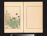 volume a, pages 6, 7 A Mirror of Yoshiwara Beauties, Katsukawa Shunshō 勝川春章 (Japanese, 1726–1792), Woodblock printed book (Japanese-style binding), ink and color on paper, Japan