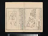 Collection of Japanese 
Paintings, Tani Bunchō (Japanese, 1763–1840), Eight woodblock printed books; ink and color on paper, Japan