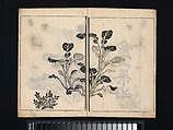 Collection of Japanese 
Paintings, Tani Bunchō (Japanese, 1763–1840), Eight woodblock printed books; ink and color on paper, Japan