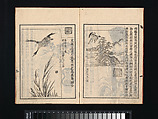 Collection of Japanese 
Paintings, Tani Bunchō (Japanese, 1763–1840), Eight woodblock printed books; ink and color on paper, Japan