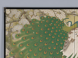 Peacocks and Cherry Blossoms, Imazu Tatsuyuki (Japanese, active early 20th century), Two-panel folding screen; ink, color, gold, and silver on paper, Japan