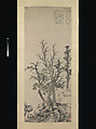 Silent fisherman in an autumn wood, Shen Zhou (Chinese, 1427–1509), Hanging scroll; ink and color on paper, China