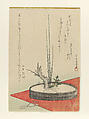Arrangement of Plum, Fukujusō (Adonis Flower), and Scissors, Kubo Shunman  Japanese, Woodblock print (surimono); ink and color on paper, Japan