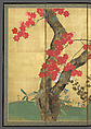 Cherry and Maple Trees, Sakai Hōitsu (Japanese, 1761–1828), Pair of six-panel folding screens; ink, color, and gold leaf on paper, Japan