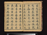 The Water Margin, Woodblock-printed book; ink on paper, China