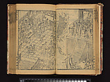 The Water Margin, Woodblock-printed book; ink on paper, China