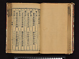 The Water Margin, Woodblock-printed book; ink on paper, China