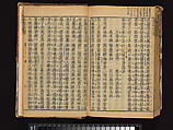 The Water Margin, Woodblock-printed book; ink on paper, China