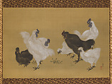 Silkies, Mori Sosen (Japanese, 1747–1821), Hanging scroll; ink and color on silk, Japan