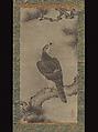 Hawk on a Pine, Kano Yukinobu 狩野之信 (Japanese, ca. 1513–1575), Hanging scroll; ink on paper, Japan