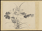 "Refined Elegance in the Four Seasons" (Shiji seiga), Album of Flower Paintings, Yamamoto Baiitsu (Japanese, 1783–1856), Album of twelve leaves; ink on paper, Japan