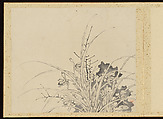 "Refined Elegance in the Four Seasons" (Shiji seiga), Album of Flower Paintings, Yamamoto Baiitsu (Japanese, 1783–1856), Album of twelve leaves; ink on paper, Japan