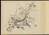 "Refined Elegance in the Four Seasons" (Shiji seiga), Album of Flower Paintings, Yamamoto Baiitsu (Japanese, 1783–1856), Album of twelve leaves; ink on paper, Japan