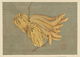 Buddha’s Hand Citron (Busshukan), Katsushika Hokusai Japanese, Matted painting; ink and color on silk, Japan