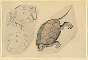 Two Sketches: One of a Turtle, the Other of Two Unidentified Objects, Katsushika Hokusai Japanese, Ink and color on paper, Japan