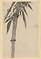 Bamboo, Katsushika Hokusai  Japanese, Unmounted painting; ink on paper, Japan