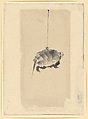 Tortoise Suspended By String, Katsushika Hokusai Japanese, Ink on paper, Japan