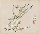 Page from the Ten Bamboo Studio Manual of Painting and Calligraphy, Hu Zhengyan , and others Chinese, Individual leaf from a printed book; ink and color on paper, China