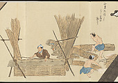Illustrations of Uji Tea Production, Painting by Saitō Motonari (Japanese, active ca. 1800), Handscroll of thirty-two sheets reformatted as a folding album (orihon), Japan