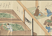 Illustrations of Uji Tea Production, Painting by Saitō Motonari (Japanese, active ca. 1800), Handscroll of thirty-two sheets reformatted as a folding album (orihon), Japan