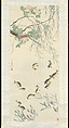 Flowers and Fishes, Jin Zhang, Hanging scroll; ink and color on silk, China