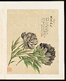 Flowers, Liang Yuwei (Chinese, 1844–1917), Album of twelve leaves; ink and color on silk, China