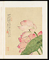 Flowers, Liang Yuwei (Chinese, 1844–1917), Album of twelve leaves; ink and color on silk, China