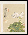 Flowers, Liang Yuwei (Chinese, 1844–1917), Album of twelve leaves; ink and color on silk, China