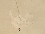 Cockatoo, Chen Shu (Chinese, 1660–1736), Hanging scroll; ink and color on paper, China