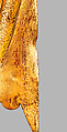 Standing Amitabha Buddha, Gilt copper alloy, China