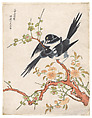 Magpies, Ding Liangxian  Chinese, Polychrome woodblock print; ink and color on paper, China