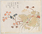 Bird on hibiscus, Ding Liangxian  Chinese, Polychrome woodblock print; ink and color on paper, China
