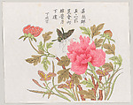 Butterfly on Peony and Iris, Polychrome woodblock print; ink and color on paper, China