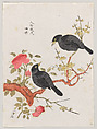 Mynah Birds, Polychrome woodblock print; ink and color on paper, China, Suzhou