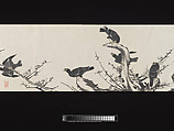 Crested Mynahs, (Morimoto) Itsuzan Mokuin (Japanese, 1702–1778), Handscroll: ink and color on paper, Japan