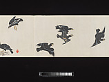 Crested Mynahs, (Morimoto) Itsuzan Mokuin (Japanese, 1702–1778), Handscroll: ink and color on paper, Japan