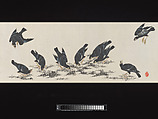 Crested Mynahs, (Morimoto) Itsuzan Mokuin (Japanese, 1702–1778), Handscroll: ink and color on paper, Japan